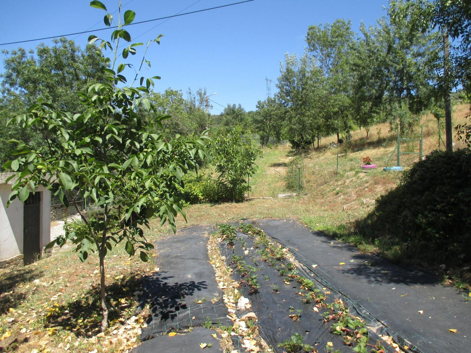 Bungalow "A Choupana" - Quinta Da Carvoica - Vale Pradinhos Vale de Pradinhos Exterior foto