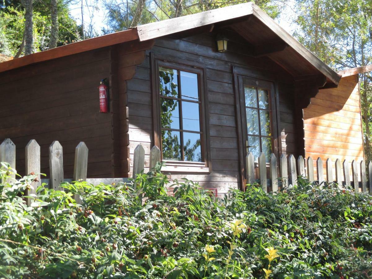 Bungalow "A Choupana" - Quinta Da Carvoica - Vale Pradinhos Vale de Pradinhos Exterior foto